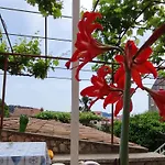 Bitinada